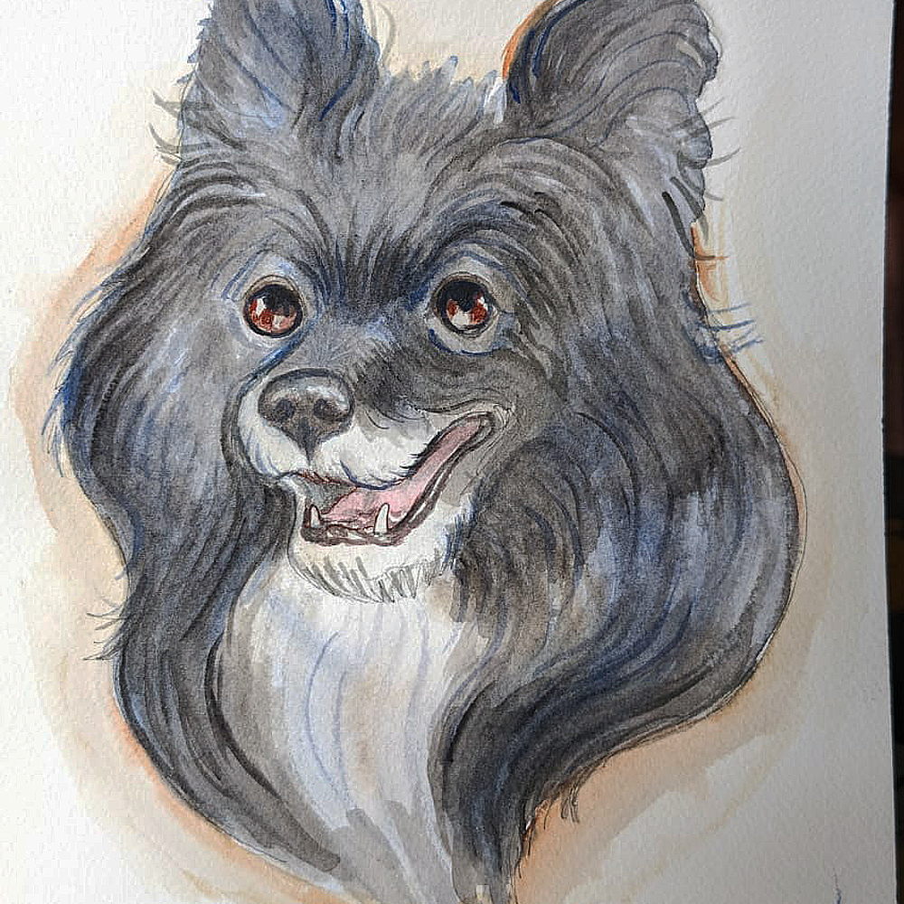 Your Own Pawtrait of your Pet